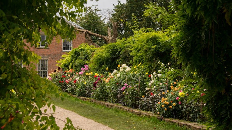 The dahlia border in the garden at Calke Abbey, Derbyshire